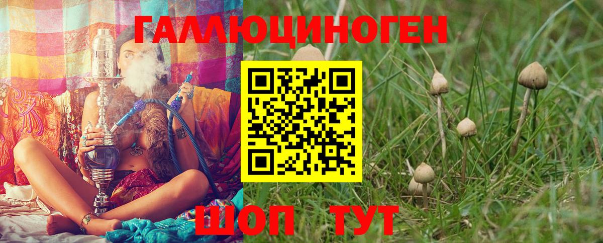 Галлюциногенные грибы Psilocybine cubensis Егорьевск